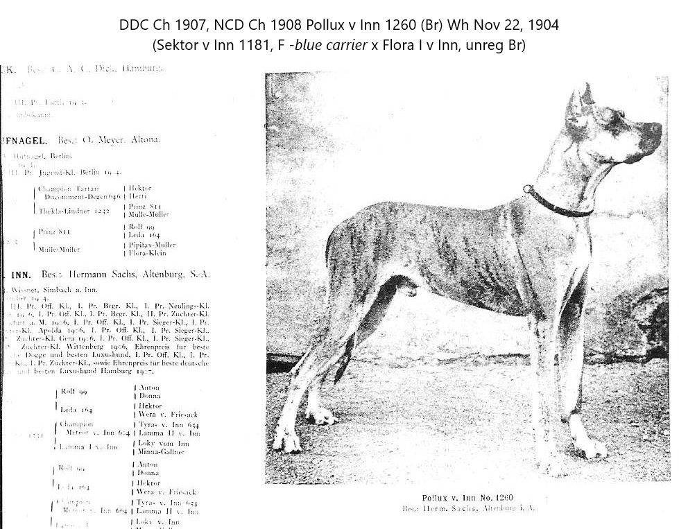 Pollux v Inn